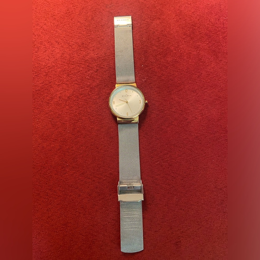 Skagen Women's 2 Tone Silver and Gold with Crystal Accents SKW2128
